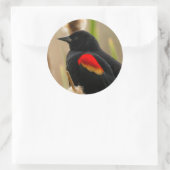 赤翼のブラッシュバード ラウンドシール (バッグ)