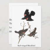 赤翼の黒鳥、ジョン·アウドボン 招待状 (正面/裏面)