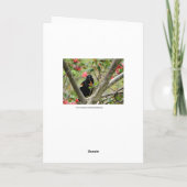 赤翼ブラックバードとフローラ カード (裏面)