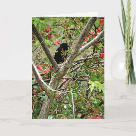 赤翼ブラックバードとフローラ カード (正面)