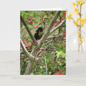 赤翼ブラックバードとフローラ カード (黄色い花)