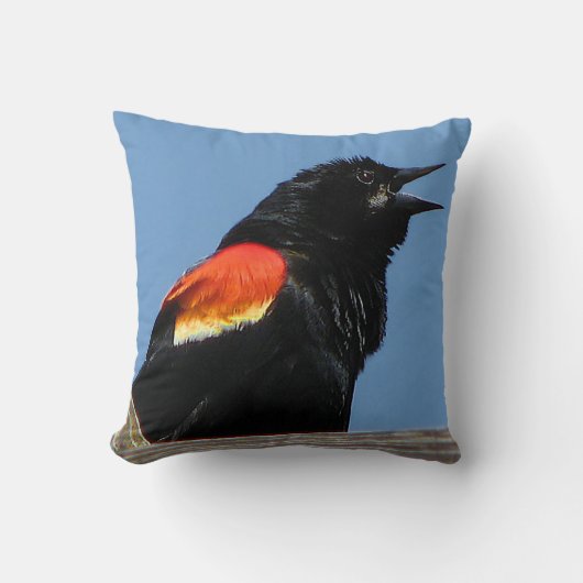 赤翼ブラックバードアニマル屋外枕 クッション (正面)