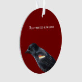 赤翼ブラックバードオーナメント オーナメント (正面)