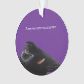 赤翼ブラックバードオーナメント オーナメント (正面)