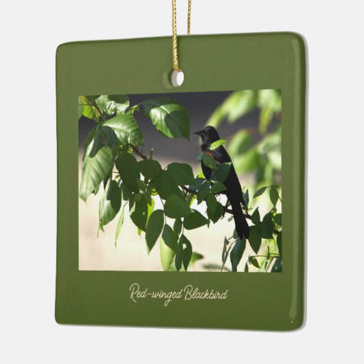 赤翼ブラックバードオーナメント セラミックオーナメント (左)