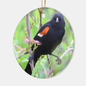 赤翼ブラックバードオーナメント セラミックオーナメント (左)