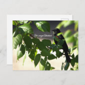 赤翼ブラックバードハガキ ポストカード (正面/裏面)