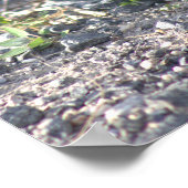 赤翼ブラックバードポスター ポスター (角)