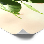 赤翼ブラックバードポスター ポスター (角)