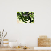 赤翼ブラックバードポスター ポスター (キッチン)