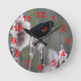 赤翼ブラックバード（アゲライオス・フェニキア） ラウンド壁時計