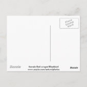 赤翼ブラックバード(女性)はがき ポストカード (裏面)