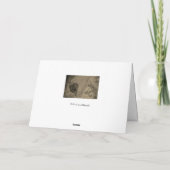 赤考えるいバラの君の カード (裏面)