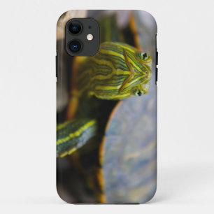 赤耳付つきのスライダーのカメの正面の眺め iPhone 11 ケース