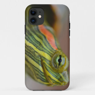 赤耳付つきのスライダーのカメのiPhoneの場合 iPhone 11 ケース