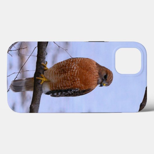 赤肩hawk iPhone 13ケース Case-Mate iPhoneケース (裏面 (横))
