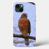 赤肩hawk iPhone 13ケース Case-Mate iPhoneケース (裏面)