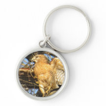 赤背負われたタカのキーホルダー