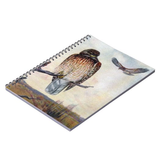 赤背負われたタカのヴィンテージのイラストレーション ノートブック (左側)