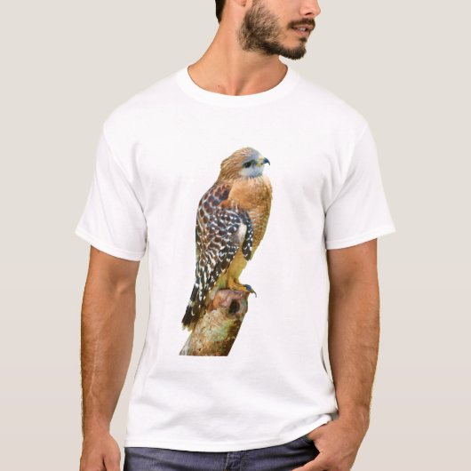赤背負われたタカ Tシャツ (正面)