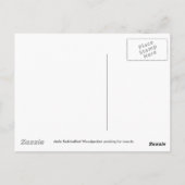 赤腹舌はがき ポストカード (裏面)