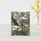 赤膨らまされたキツツキのメッセージカード カード (黄色い花)