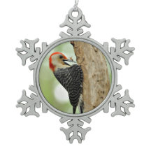 赤膨らまされたキツツキ