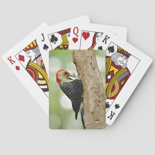 赤膨らまされたキツツキ トランプ (裏面)