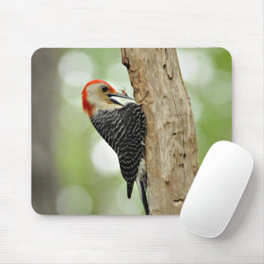 赤膨らまされたキツツキ マウスパッド (マウス)