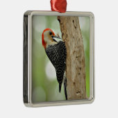 赤膨らまされたキツツキ メタルオーナメント (右)