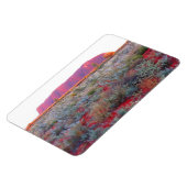 赤色中心性潰瘍 マグネット (左側)