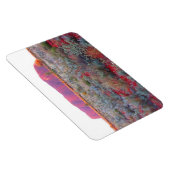 赤色中心性潰瘍 マグネット (右側)