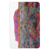 赤色中心性潰瘍 マグネット (縦)