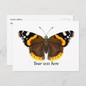 赤色提督蝶の水彩画はがき ポストカード (正面/裏面)