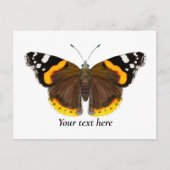 赤色提督蝶の水彩画はがき ポストカード (正面)