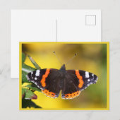 赤色提督 ポストカード (正面/裏面)