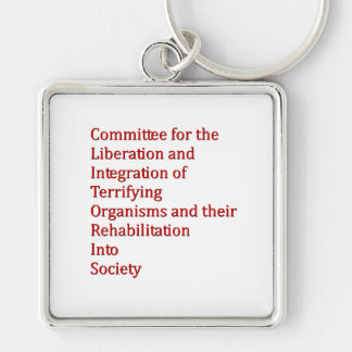 赤色矮星 キーホルダー