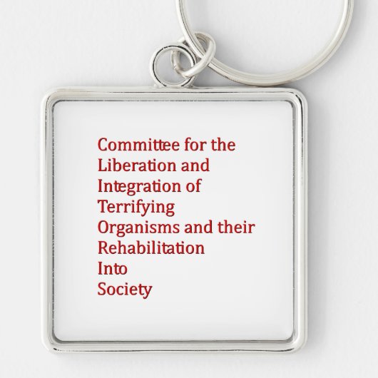 赤色矮星 キーホルダー (正面)