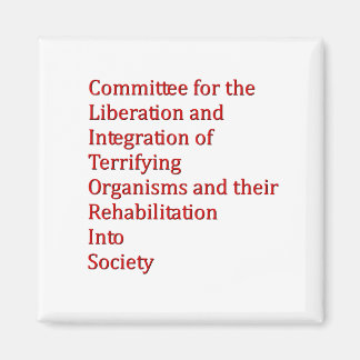 赤色矮星 マグネット