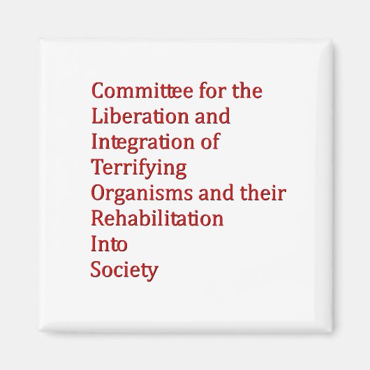 赤色矮星 マグネット (正面)