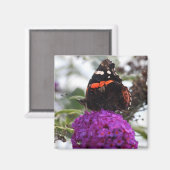 赤色蝶マグネット マグネット (正面/裏面)