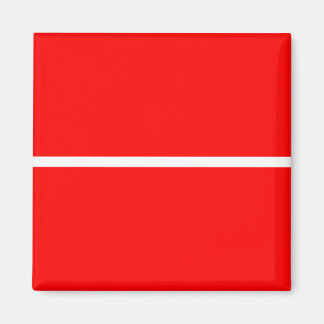 赤色001磁石 マグネット