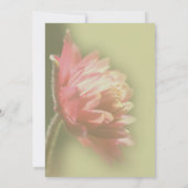 赤花パーティー 招待状 (裏面)