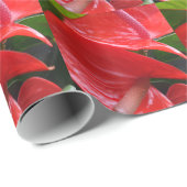 赤花包紙 ラッピングペーパー (ロールコーナー)