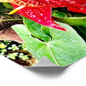 赤花熱帯庭園 ポスター (角)