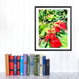 赤花熱帯庭園 ポスター