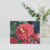 赤花自然撮影甲虫虫 ポストカード (スタンド正面)