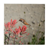 赤花鳥 タイル (正面)