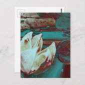 赤芸術的と青の睡蓮 ポストカード (正面/裏面)