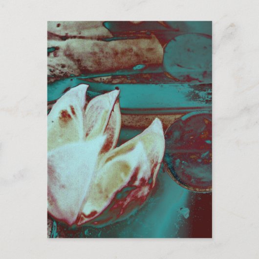 赤芸術的と青の睡蓮 ポストカード (正面)